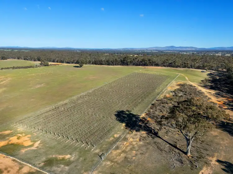 Fifth view of Homely land listing, CA 18, 19 & 20 Pyrenees Highway, Avoca VIC 3467