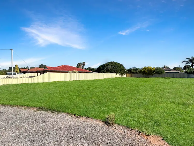 31 Bonamia Road