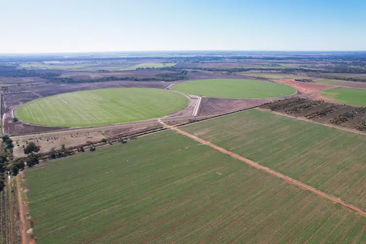 _ Tutchewop Hill, Kelly Ash, Kelly's, Berkshire & Hawkings, Lake Boga VIC 3584