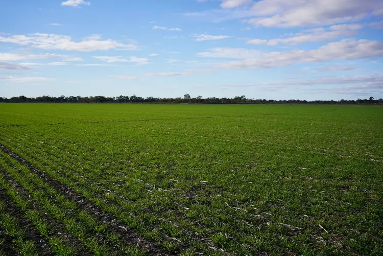 Fourth view of Homely rural property listing, _ Tutchewop Hill, Kelly Ash, Kelly's, Berkshire & Hawkings, Lake Boga VIC 3584