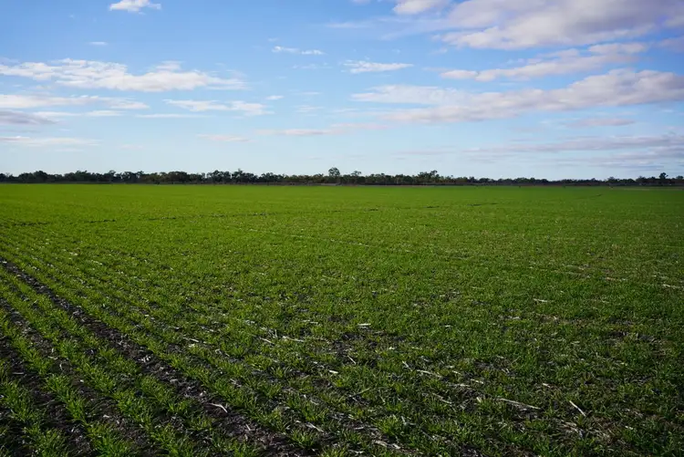 Fourth view of Homely rural property listing, _ Tutchewop Hill, Kelly Ash, Kelly's, Berkshire & Hawkings, Lake Boga VIC 3584