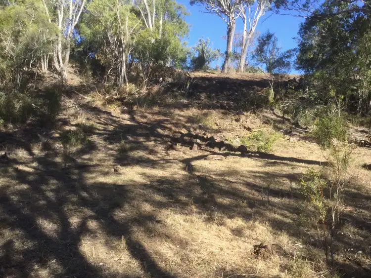 Fifth view of Homely rural property listing, Lot 61 Irongate Road, Springside QLD 4356