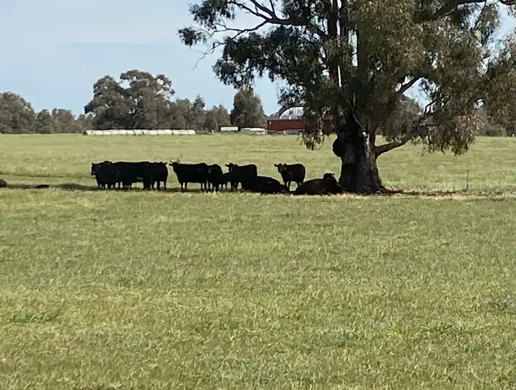 Second view of Homely rural property listing, Lot 14 Browne Lane, Muskerry VIC 3557