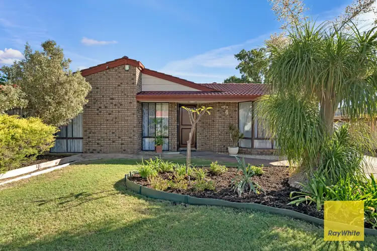 4 Crucis Close, Mirrabooka WA 6061