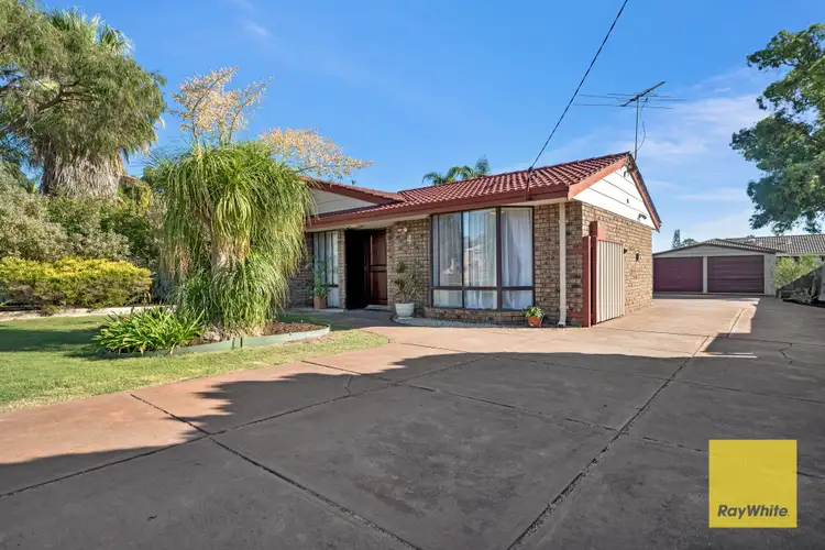 Second view of Homely house listing, 4 Crucis Close, Mirrabooka WA 6061