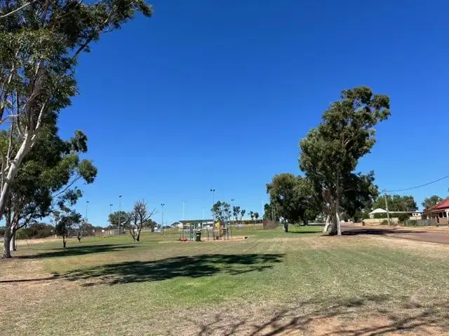 Fourth view of Homely land listing, 4 Wattle Street, Mingenew WA 6522