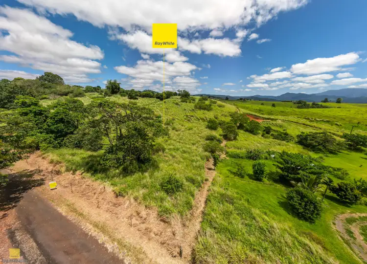 Seventh view of Homely land listing, 1964C Palmerston Highway, East Palmerston QLD 4860