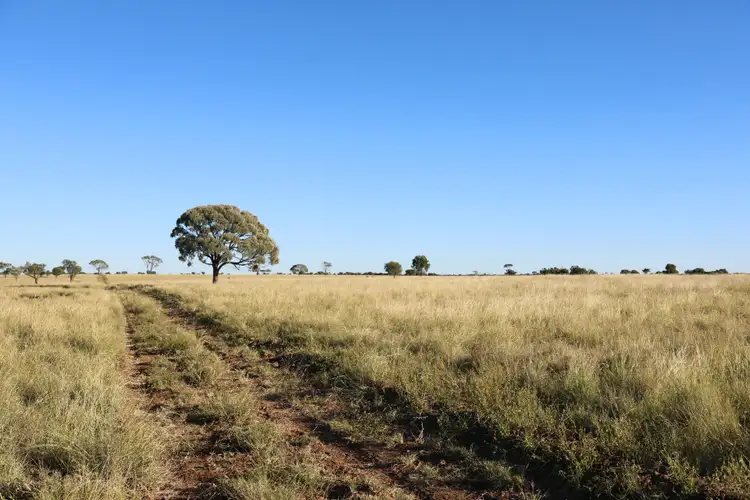 Fifth view of Homely rural property listing, 3654 Emmet Road, Blackall QLD 4472