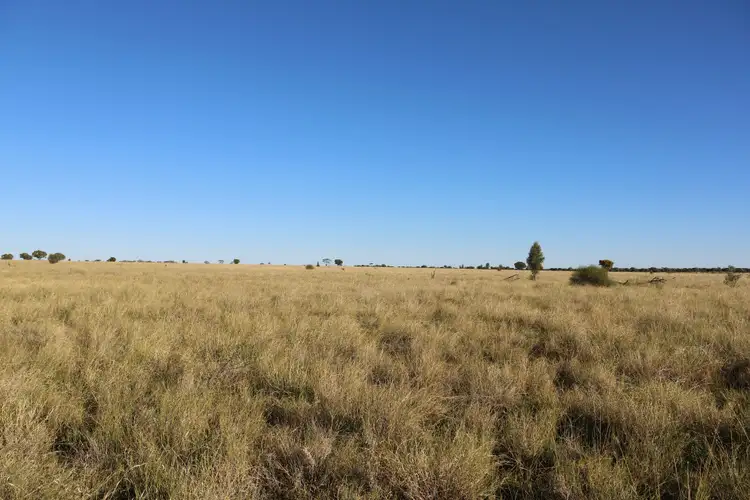 Sixth view of Homely rural property listing, 3654 Emmet Road, Blackall QLD 4472