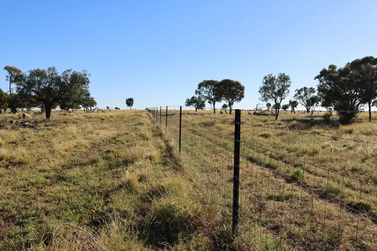 Seventh view of Homely rural property listing, 3654 Emmet Road, Blackall QLD 4472