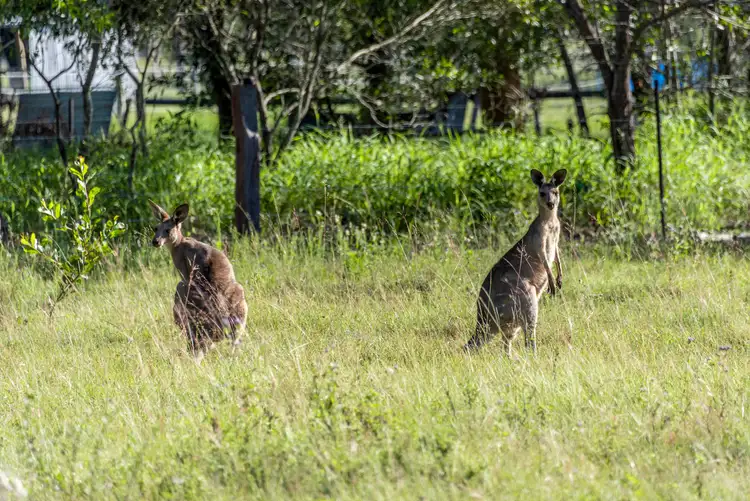 Sixth view of Homely land listing, Proposed Lots 64 Kent Parade, Torbanlea QLD 4662