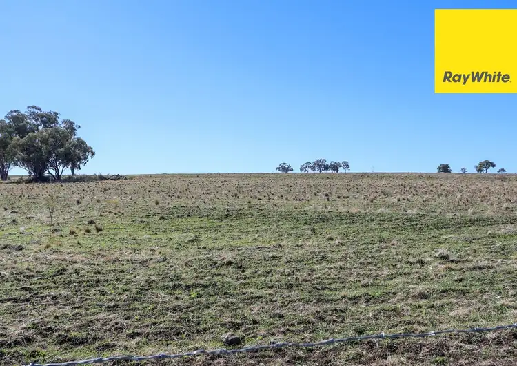 Second view of Homely rural property listing, 600 Blyths Lane, Inverell NSW 2360