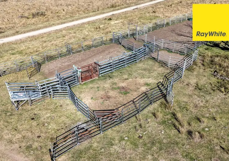 Third view of Homely rural property listing, 600 Blyths Lane, Inverell NSW 2360