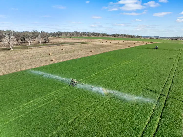 3095 Toowoomba Cecil Plains Road