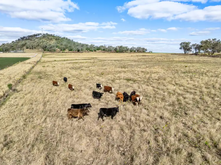 Fifth view of Homely rural property listing, 3095 Toowoomba Cecil Plains Road, Linthorpe QLD 4356