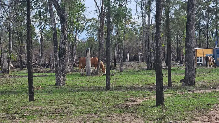 Second view of Homely rural property listing, 87 Emu Parade, Tara QLD 4421