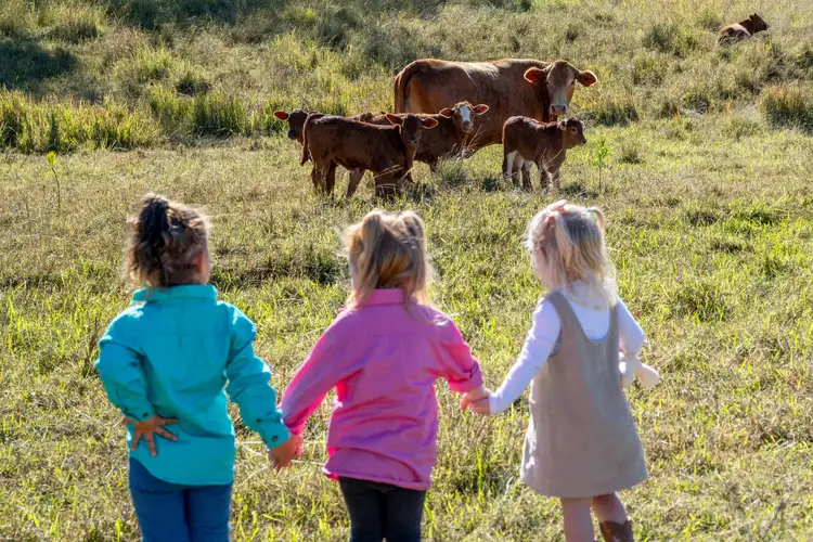 Fourth view of Homely rural property listing, 2584E Rosewood-Warrill View Road, Coleyville QLD 4307