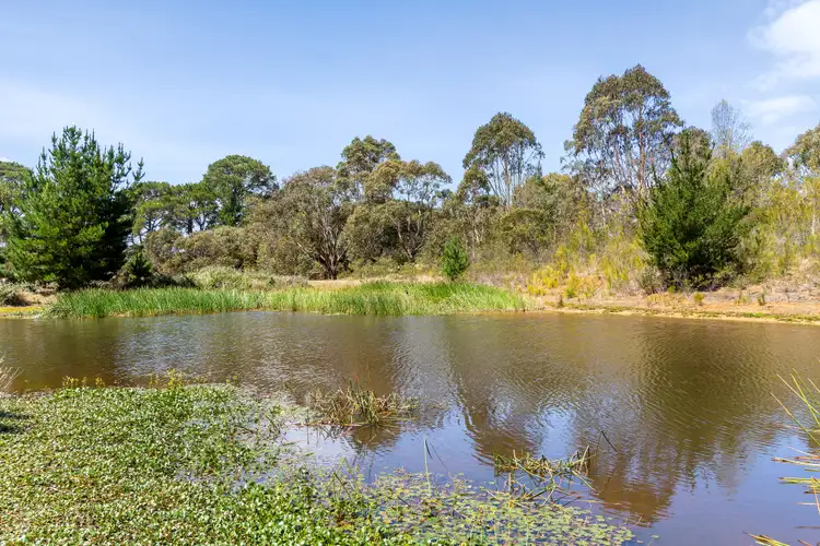 Fourth view of Homely rural property listing, 715 Great Ocean Road, Bellbrae VIC 3228