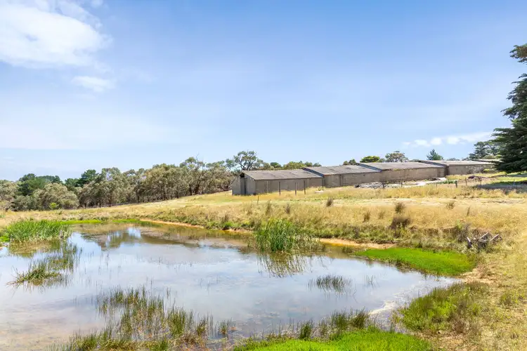 Sixth view of Homely rural property listing, 715 Great Ocean Road, Bellbrae VIC 3228