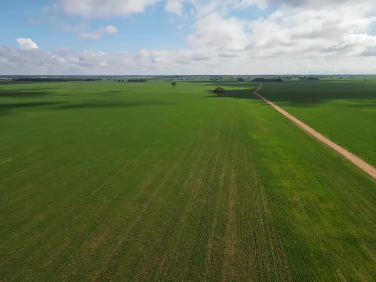 Third view of Homely rural property listing, Mogal Plain 3595 Nyngan Road, Tottenham NSW 2873