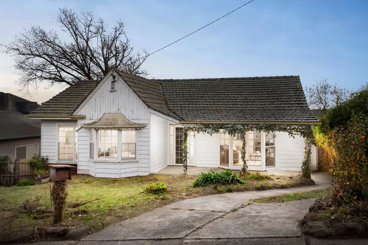 3 Ash Grove
