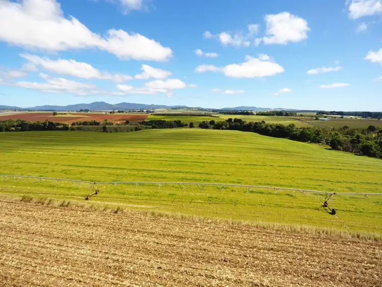 Third view of Homely rural property listing, 4749 Gillies Range Road, East Barron QLD 4883