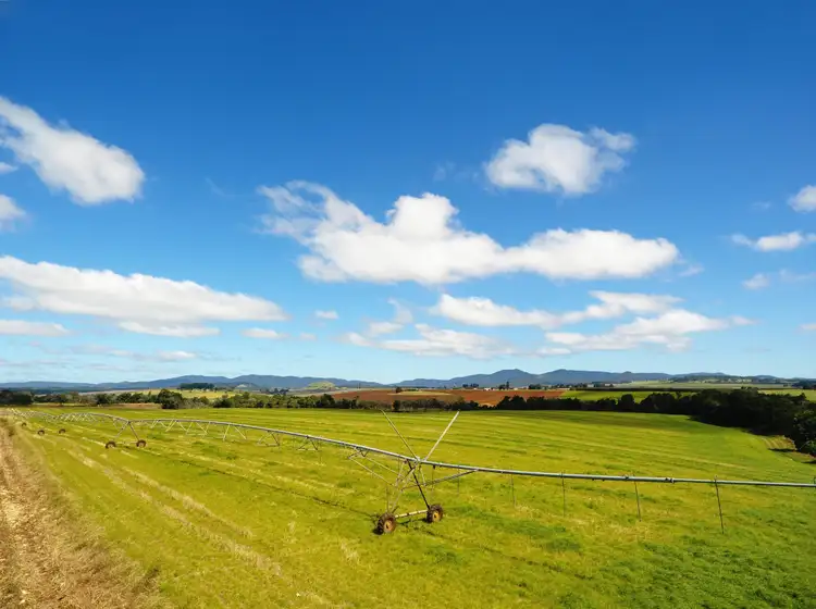 Fifth view of Homely rural property listing, 4749 Gillies Range Road, East Barron QLD 4883