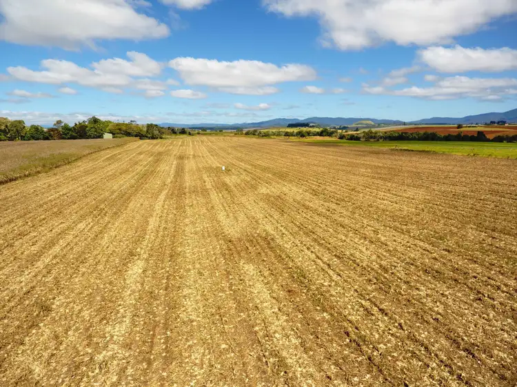 Seventh view of Homely rural property listing, 4749 Gillies Range Road, East Barron QLD 4883