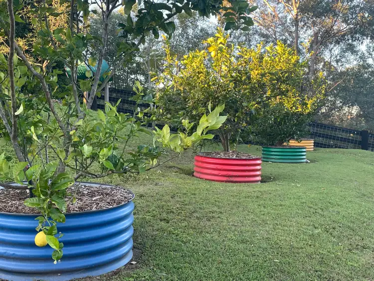 Second view of Homely house listing, 52 Ray Booker Court,, Kobble Creek QLD 4520