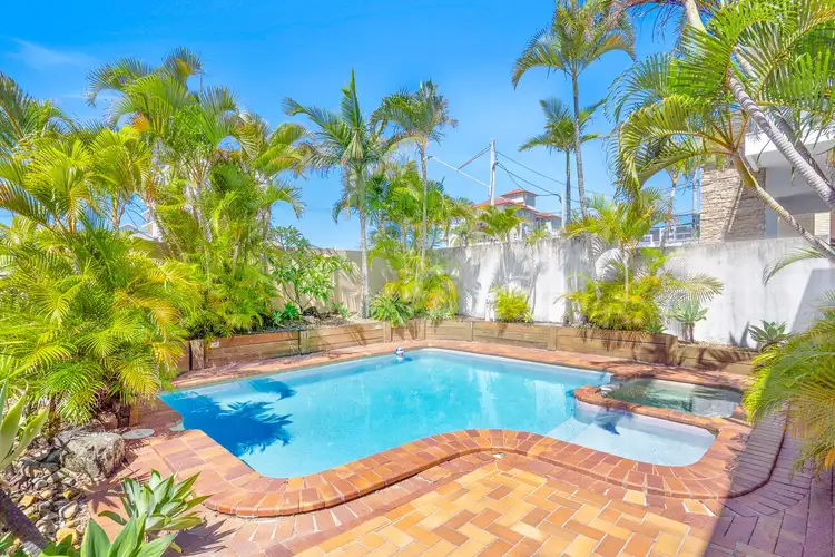 Fifth view of Homely studio listing, 19/1444 Gold Coast Highway, Palm Beach QLD 4221