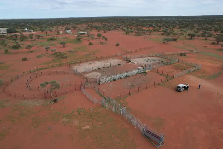 Sixth view of Homely rural property listing, Polelle Station, Meekatharra WA 6642