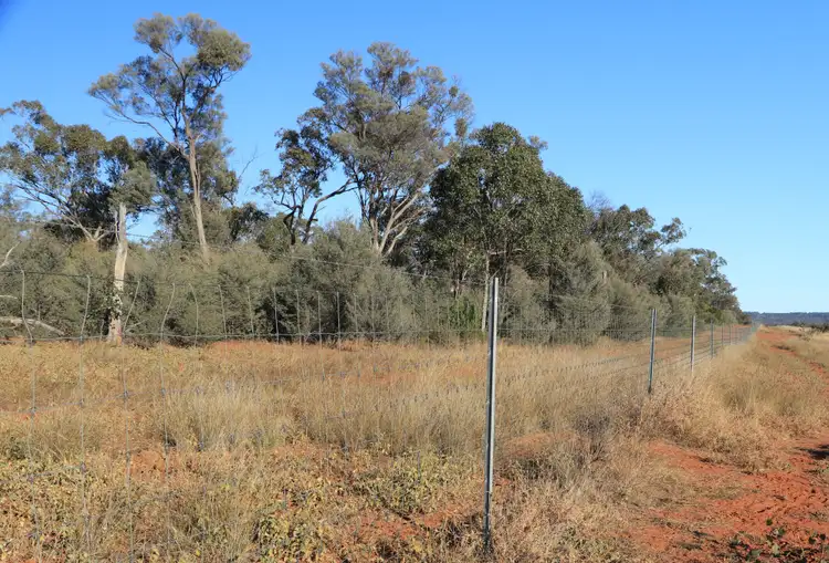 Third view of Homely rural property listing, 1100 Rocky Rd Sommariva Via, Morven QLD 4468