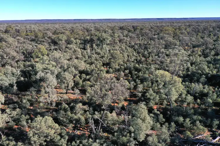 Fifth view of Homely rural property listing, 1100 Rocky Rd Sommariva Via, Morven QLD 4468