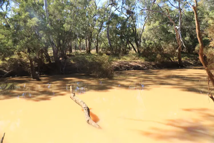 Seventh view of Homely rural property listing, 1100 Rocky Rd Sommariva Via, Morven QLD 4468