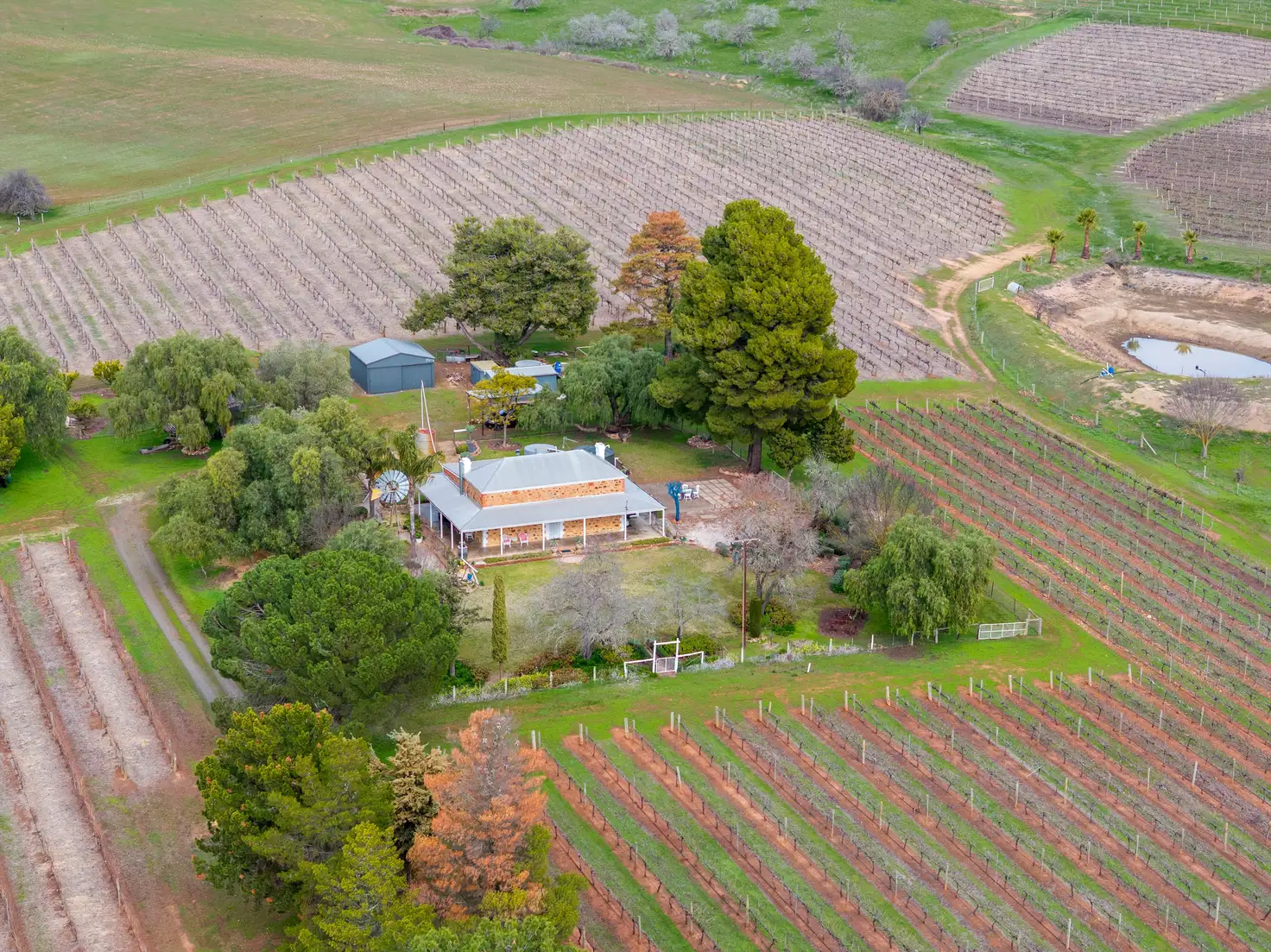 Main view of Homely house listing, 137 Emu Rock Road, Armagh SA 5453