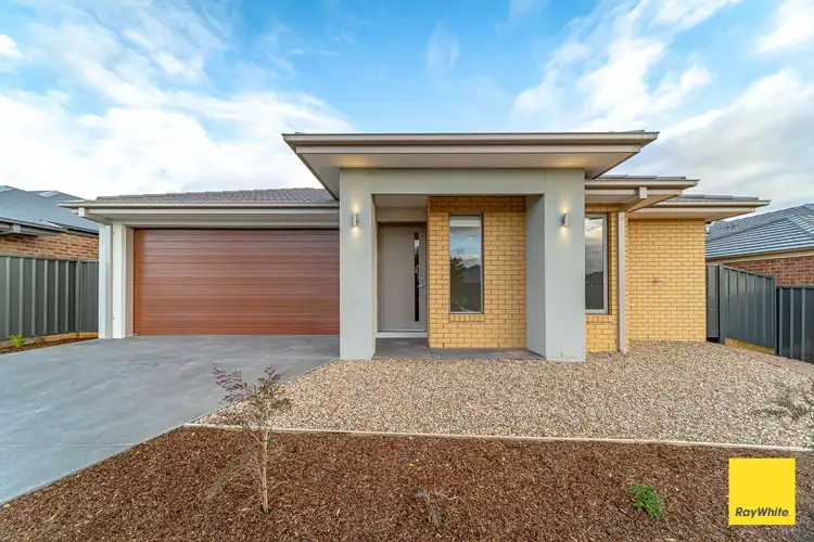 22 Eucalyptus Street