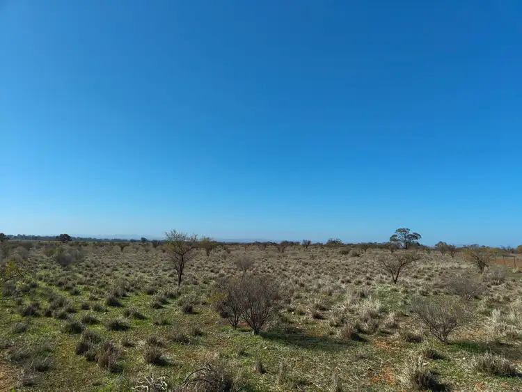 Main view of Homely land listing, LOT 213 DUHRING Road, Wilmington SA 5485