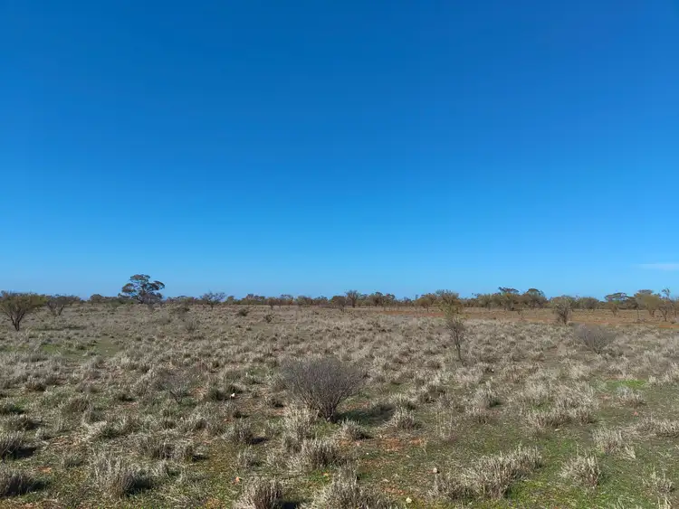 Second view of Homely land listing, LOT 213 DUHRING Road, Wilmington SA 5485