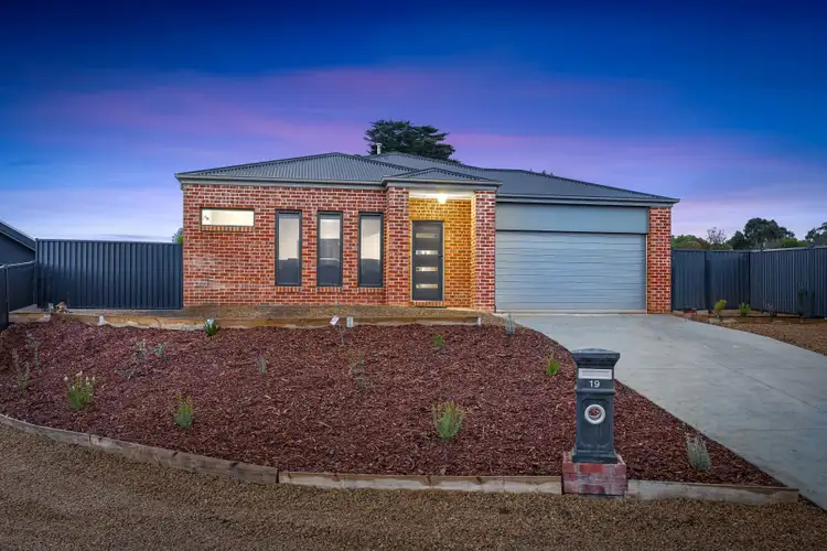 Main view of Homely house listing, 19 Eucalyptus Court, Beaufort VIC 3373
