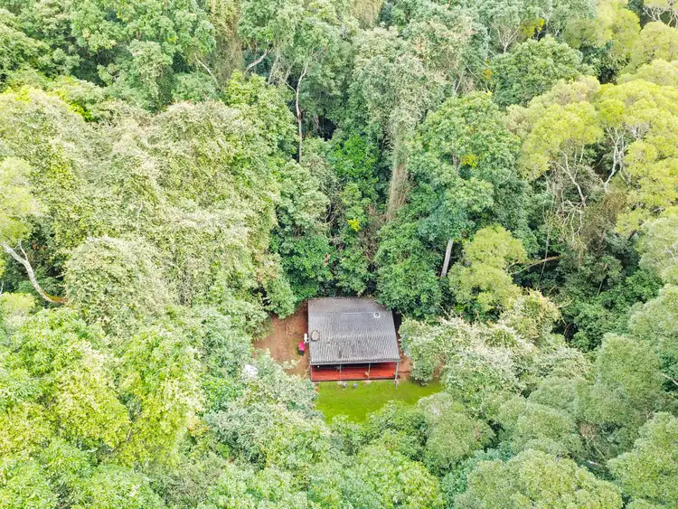 Second view of Homely house listing, 85 Figtree Close, Malanda QLD 4885
