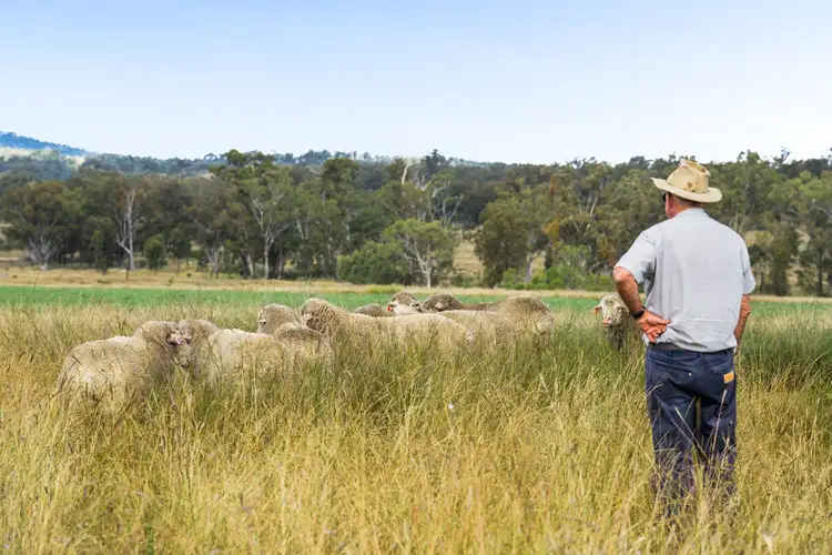 "Linallie" 2263 Greenup Limevale Road