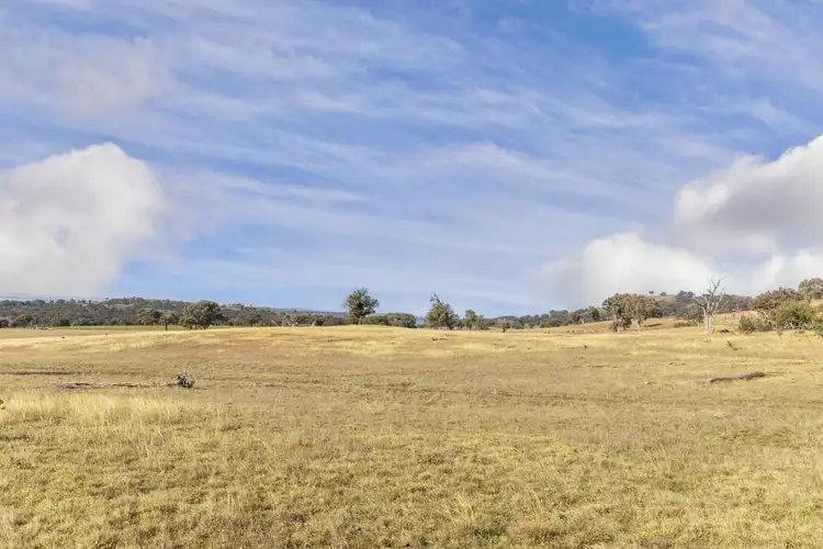 Sixth view of Homely land listing, 'Spring Valley' 38 Carey Lane, Bowning NSW 2582