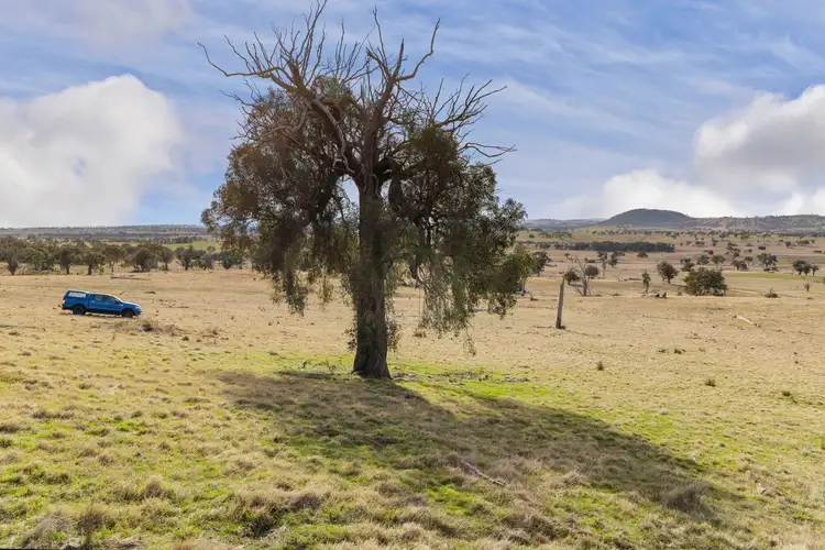 Seventh view of Homely land listing, 'Spring Valley' 38 Carey Lane, Bowning NSW 2582