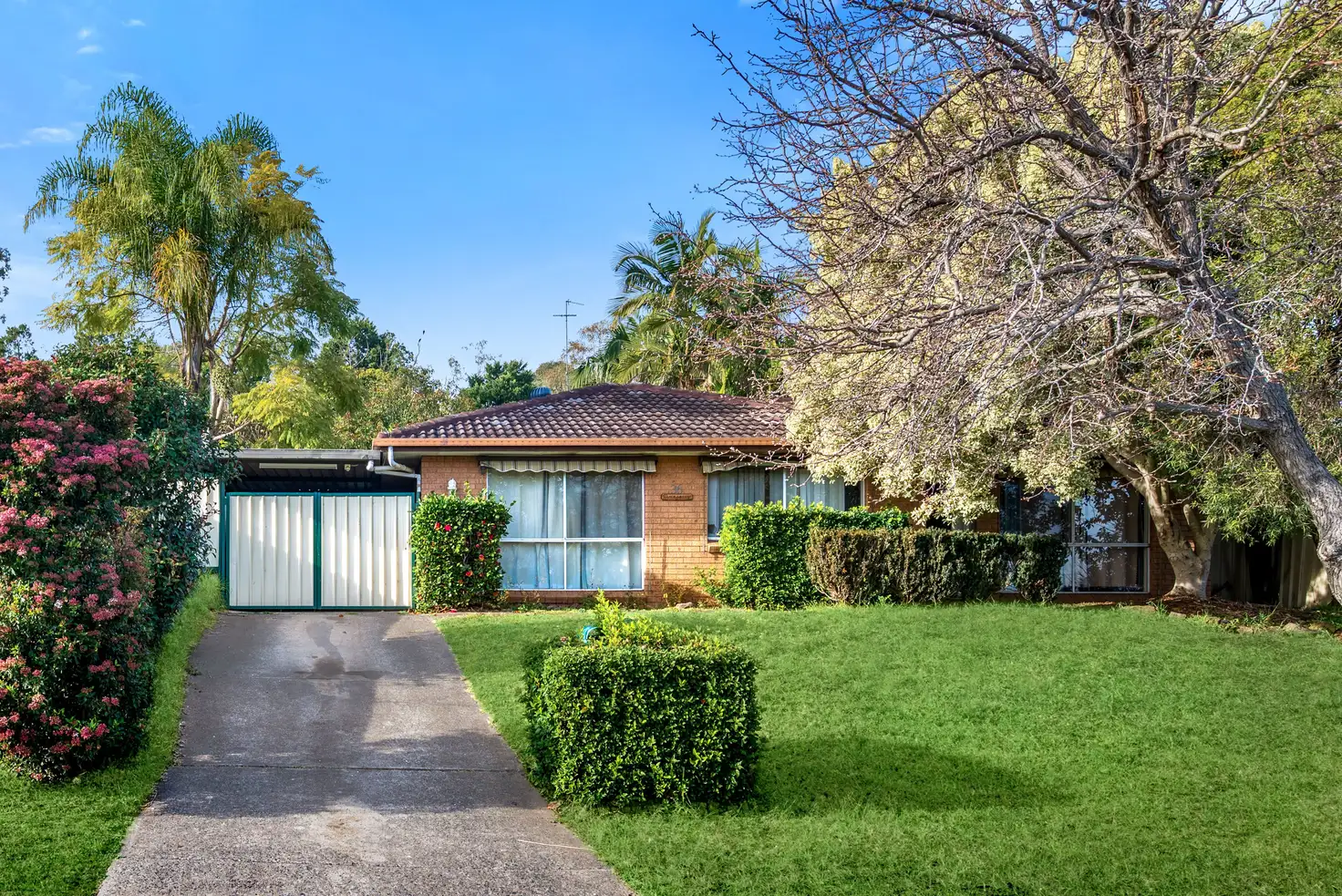 Main view of Homely house listing, 36 Randall Avenue, Minto NSW 2566