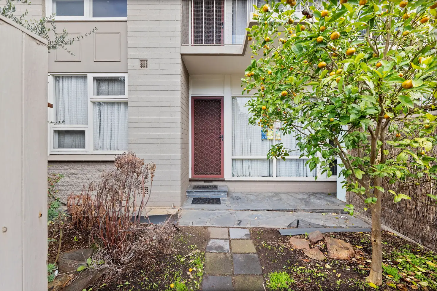 Main view of Homely unit listing, 3/423 Payneham Road, Felixstow SA 5070