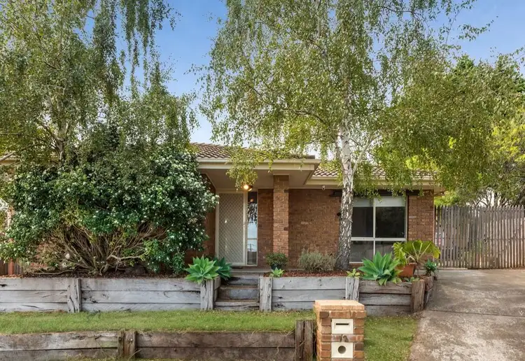 Main view of Homely house listing, 13 Shane Court, Carrum Downs VIC 3201
