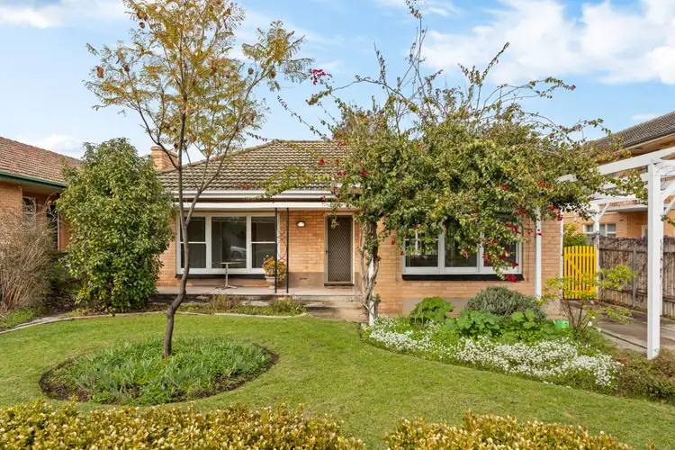 4 Water Street, Kensington Park SA 5068