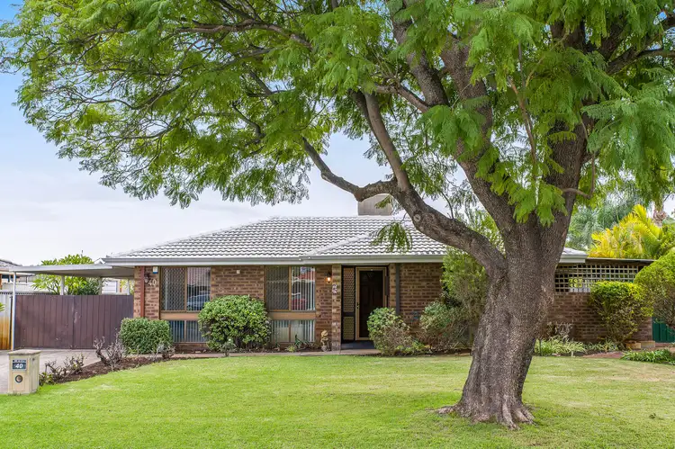 Main view of Homely house listing, 40 Grainger Way, Thornlie WA 6108