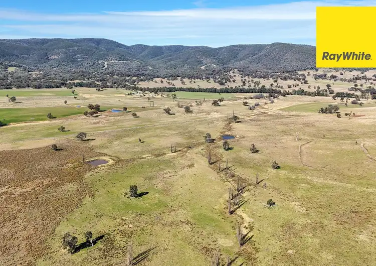 'Bimbadeen' Dry Creek Road, Bundarra NSW 2359