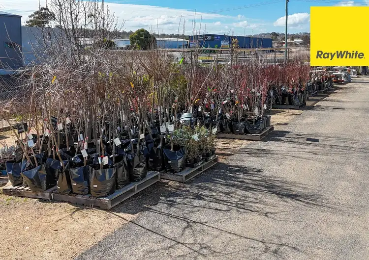 Fourth view of Homely other listing, 160 Evans Street, Inverell NSW 2360